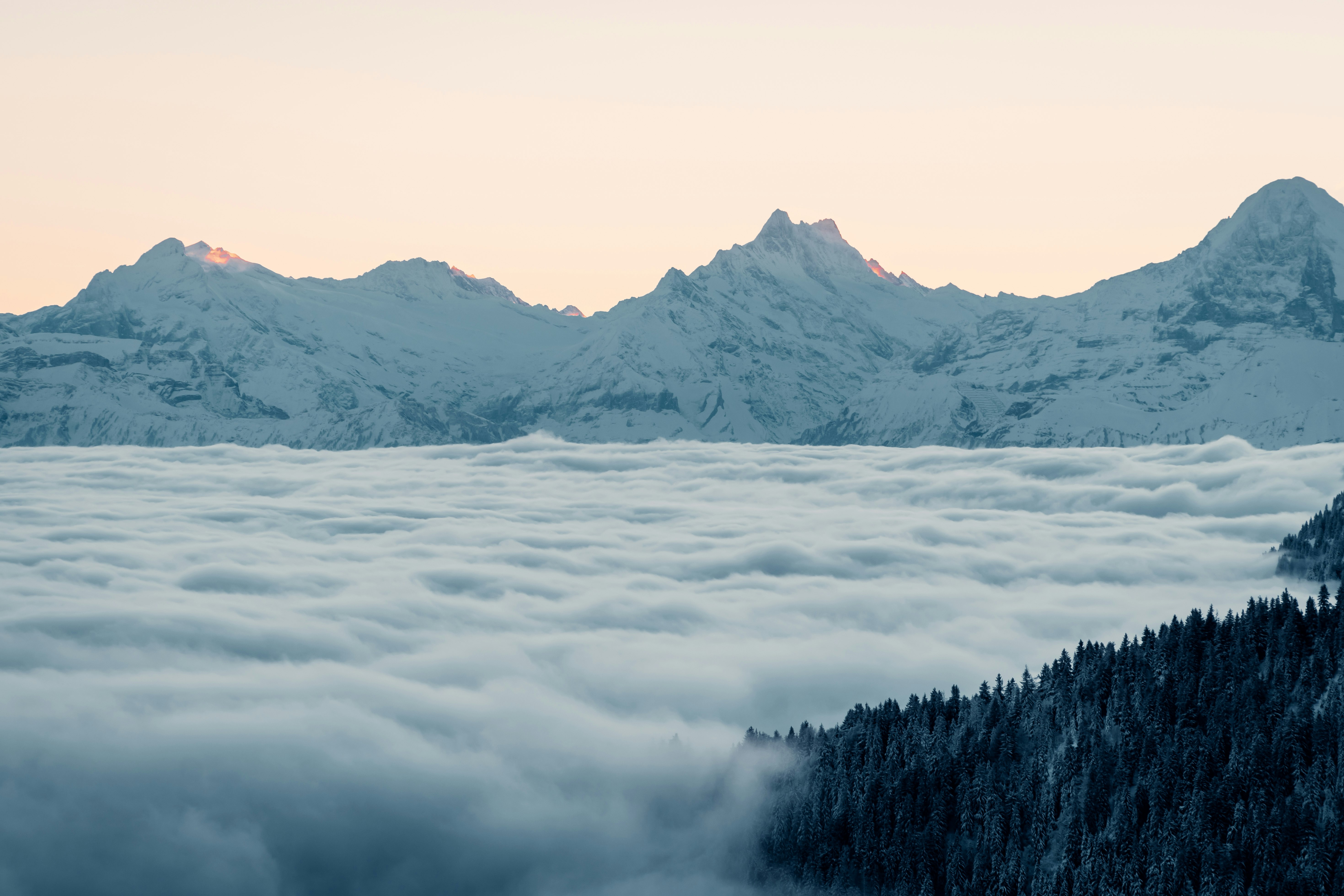 green trees near snow covered mountain during daytime